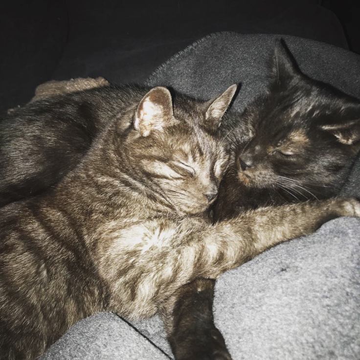 27484786_10211041168773899_1146094985_o