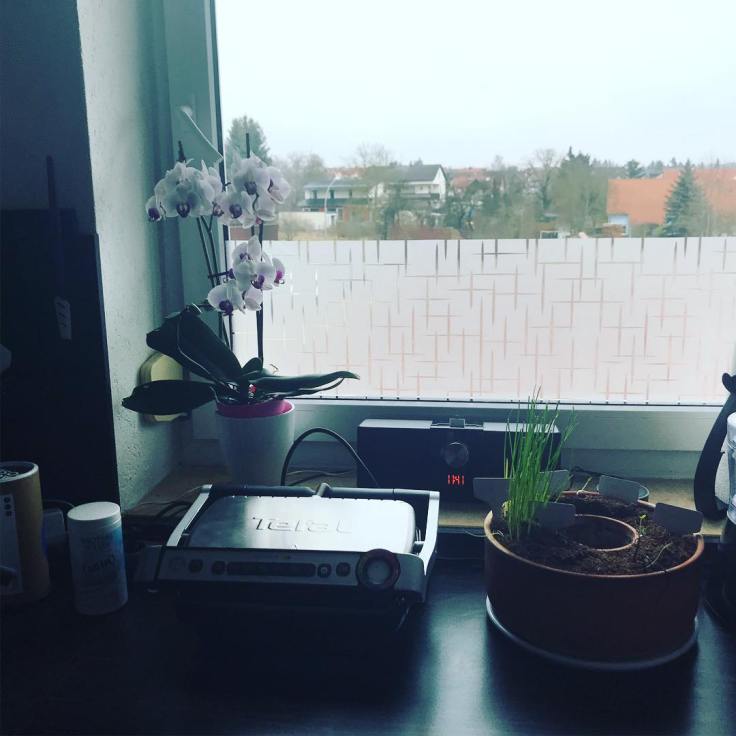 27907706_2081996442031539_1597579908863184551_o