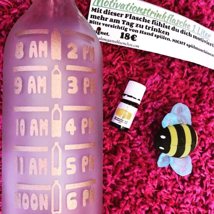 32089300_10211776724802340_7909169485171392512_n