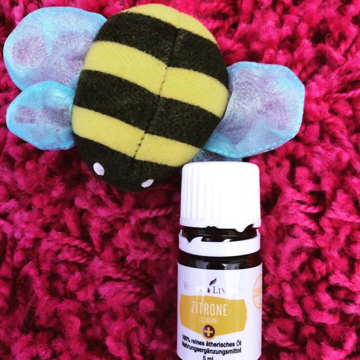 32187230_10211776725002345_2893905700839227392_n